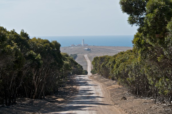 AustraliaEast 10  178